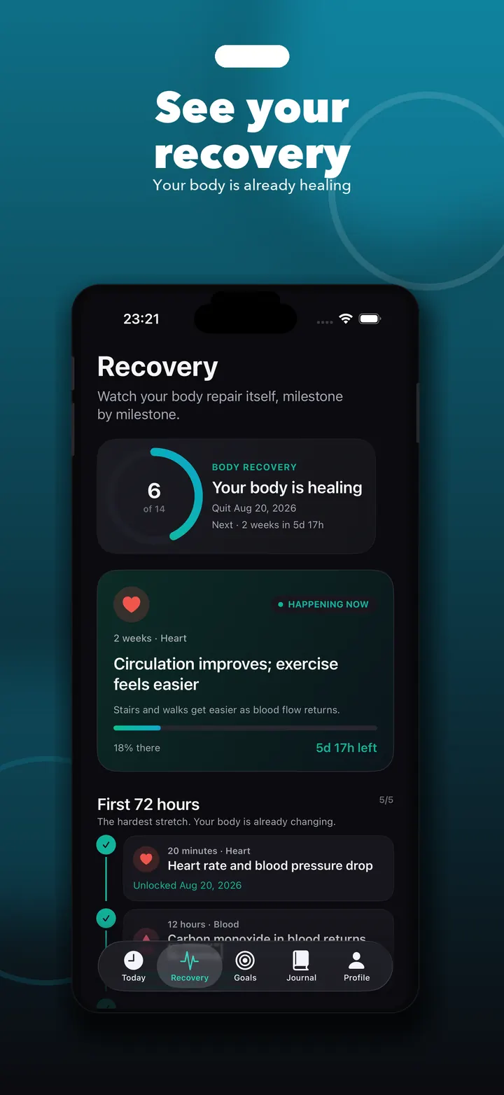 Body recovery timeline